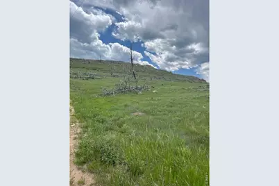 598 Mount McConnell Dr, Livermore, CO 80536 - Photo 18