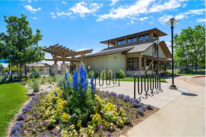6355 Crooked Stick Dr, Windsor, CO 80550 - Photo 46