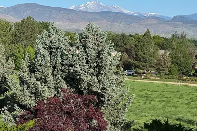 8847 Spring Creek Trl, Niwot, CO 80503 - Photo 46