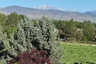 8847 Spring Creek Trail, Niwot, CO 80503 - Photo 46