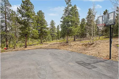 76 Highlands Dr, Bailey, CO 80421 - Photo 36