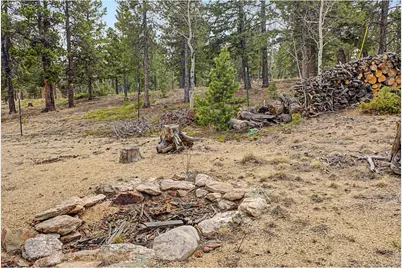 76 Highlands Dr, Bailey, CO 80421 - Photo 40