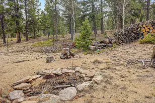 76 Highlands Dr, Bailey, CO 80421 - Photo 40