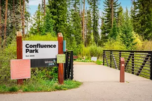 60 Moose Horn Ct, Fraser, CO 80442 - Photo 48