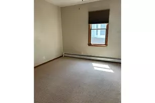 221 Walnut St, Windsor, CO 80550 - Photo 18