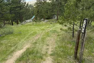 2365 Storm Mountain Dr, Drake, CO 80515 - Photo 4