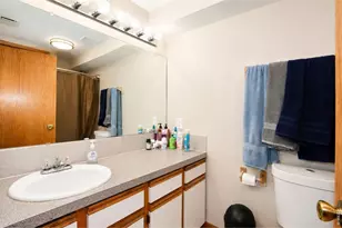 3736 Roosevelt Ave, Wellington, CO 80549 - Photo 22