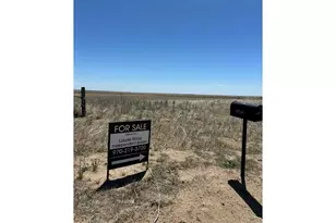 47854 Co Rd 86, Briggsdale, CO 80611 - Photo 6
