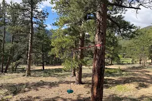 270 E Ski Rd, Allenspark, CO 80510 - Photo 30