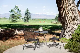 7410 N 83rd St, Niwot, CO 80503 - Photo 6