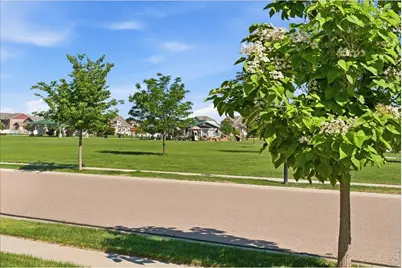 617 Gore Range Dr, Severance, CO 80550 - Photo 6