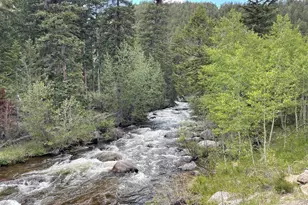 450 Peaceful Valley Rd, Lyons, CO 80540 - Photo 14