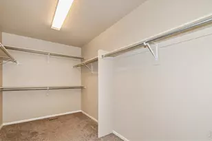 2157 Longfin Dr, Windsor, CO 80550 - Photo 22