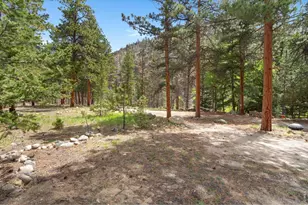 36917 Poudre Canyon Rd, Bellvue, CO 80512 - Photo 38