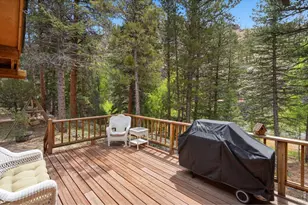 36917 Poudre Canyon Rd, Bellvue, CO 80512 - Photo 8