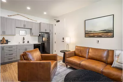 2121 Hummingbird Way #3-201, Georgetown, CO 80444 - Photo 2