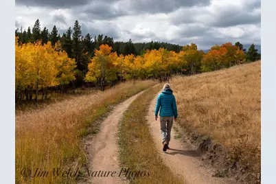 48621 Peak To Peak Hwy, Ward, CO 80481 - Photo 50