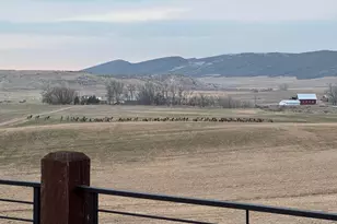 3310 W County Rd 80, Wellington, CO 80549 - Photo 24