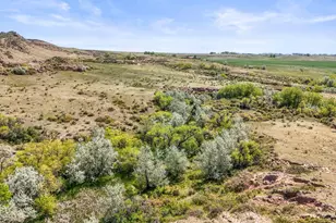 3310 W County Rd 80, Wellington, CO 80549 - Photo 46