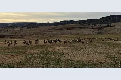 3310 W County Road 80, Wellington, CO 80549 - Photo 34