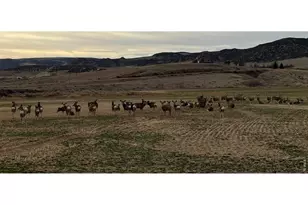 3310 W County Rd 80, Wellington, CO 80549 - Photo 34