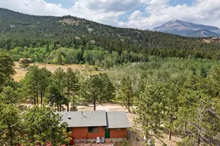 839 Ski Rd, Allenspark, CO 80510 - Photo 4