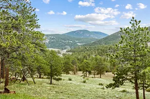 839 Ski Rd, Allenspark, CO 80510 - Photo 42