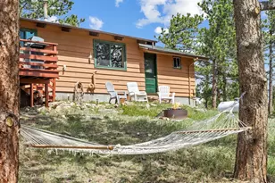 839 Ski Rd, Allenspark, CO 80510 - Photo 44