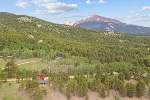 839 Ski Rd, Allenspark, CO 80510 - Photo 36