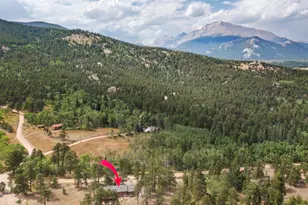 839 Ski Rd, Allenspark, CO 80510 - Photo 22