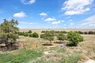 31035 Co Rd 39, Akron, CO 80720 - Photo 42