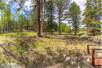 412 Highway 7 Business, Allenspark, CO 80510 - Photo 6