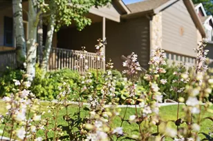 277 Sand Grouse Dr, Loveland, CO 80537 - Photo 2