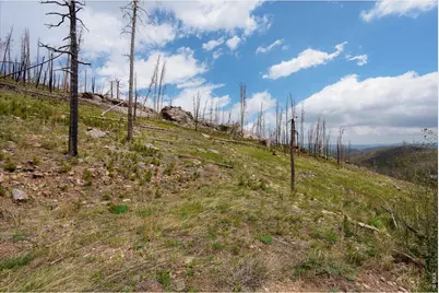 30 Sheep Horn Ct, Bellvue, CO 80512 - Photo 6