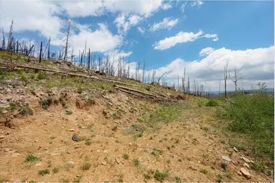 30 Sheep Horn Ct, Bellvue, CO 80512 - Photo 2