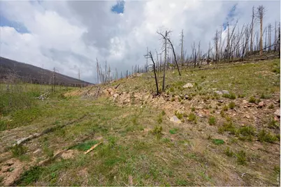 30 Sheep Horn Ct, Bellvue, CO 80512 - Photo 4