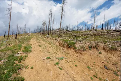 30 Sheep Horn Ct, Bellvue, CO 80512 - Photo 1
