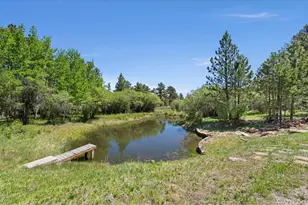 560 Pipsissewa Ln, Red Feather Lakes, CO 80545 - Photo 4