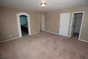 4698 Andes Way, Denver, CO 80249 - Photo 14
