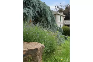 3273 Rookery Rd, Fort Collins, CO 80528 - Photo 20