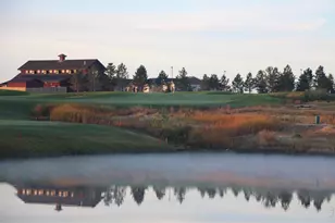 6226 Vernazza Way, Windsor, CO 80550 - Photo 28