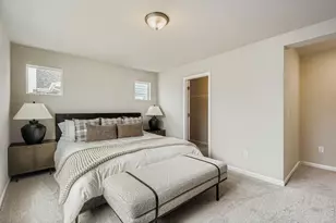 909 Nettle Ln, Fort Collins, CO 80524 - Photo 10