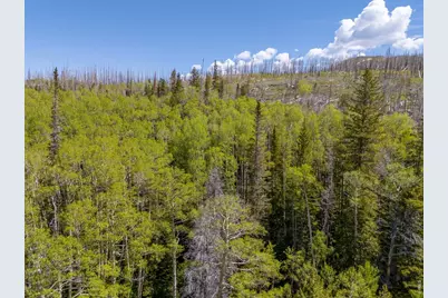 0 W Highway 14, Bellvue, CO 80512 - Photo 16