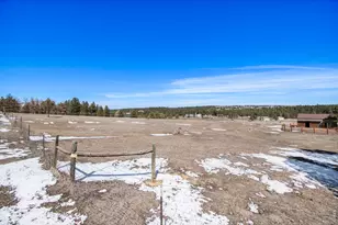 11784 Crabapple Dr, Franktown, CO 80116 - Photo 38