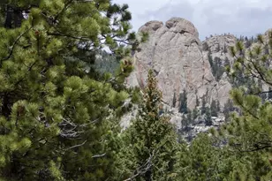 680 Findley Ct, Estes Park, CO 80517 - Photo 6