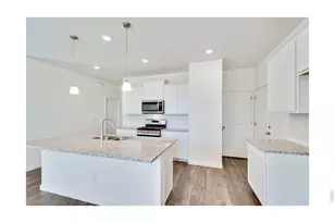 1002 Annelles Pool Ln, Severance, CO 80550 - Photo 4