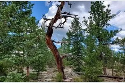 3021 Lake Arapahoe Ct, Red Feather Lakes, CO 80545 - Photo 12