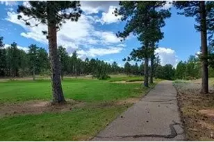 3021 Lake Arapahoe Ct, Red Feather Lakes, CO 80545 - Photo 1