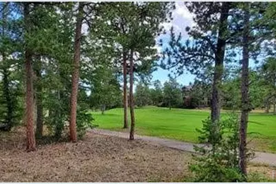 3021 Lake Arapahoe Ct, Red Feather Lakes, CO 80545 - Photo 8