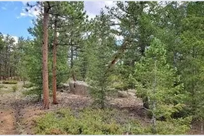 3031 Lake Arapahoe Ct, Red Feather Lakes, CO 80545 - Photo 10